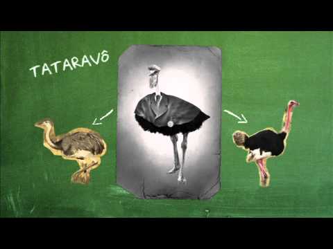 Vídeo: Diferença Entre Rhea E Avestruz
