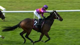 Listed City Of Napier Sprint - Platinum Attack