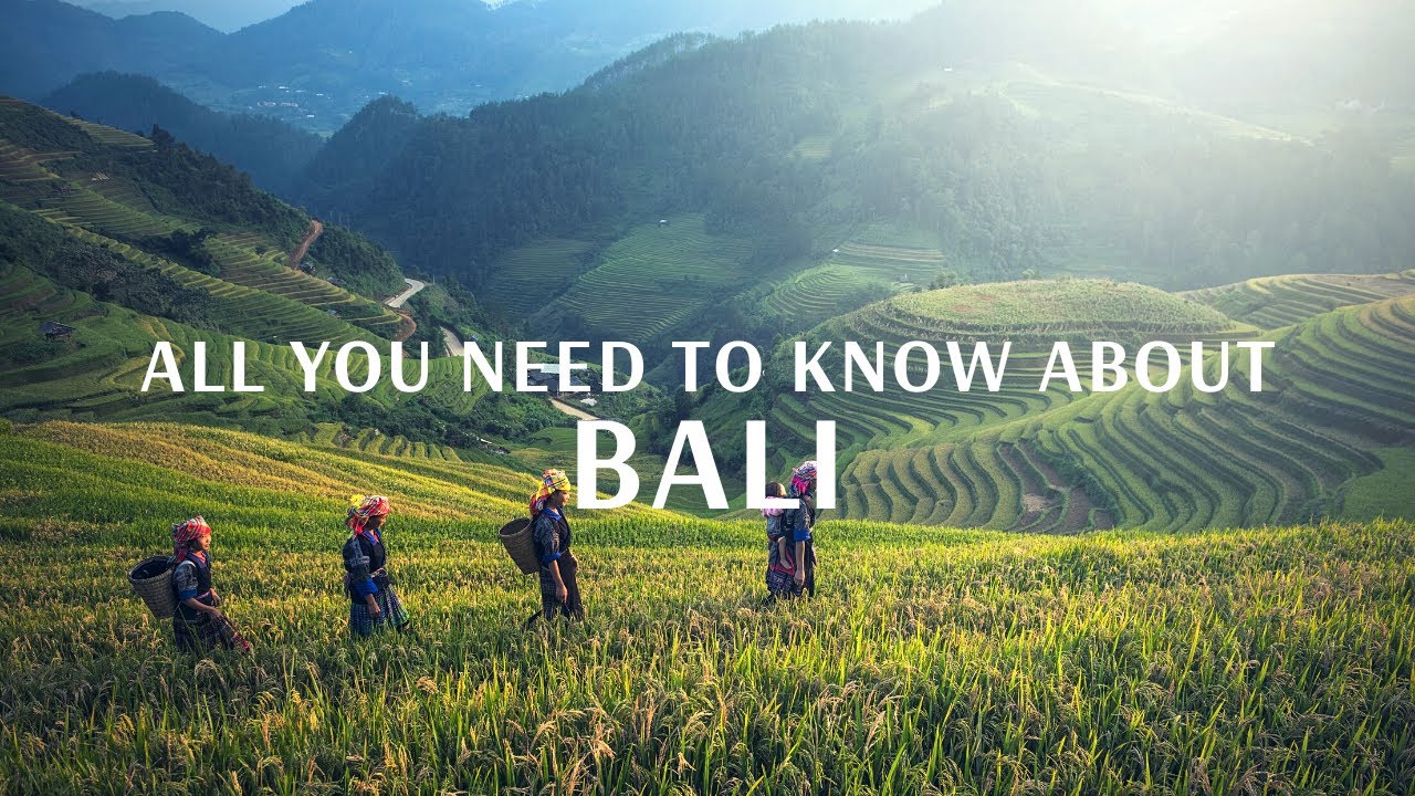 All You Need To Know About Bali - Flamingo Transworld
