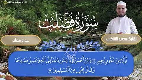 سورة فصلت كما لم تسمعها من قبل تلاوة مبكية خاشعة | ارح قلبك هدوء