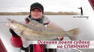 видео Судаки середины зимы