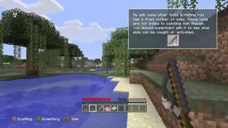 Epic 1v1 rhinoceros vs pussy cat