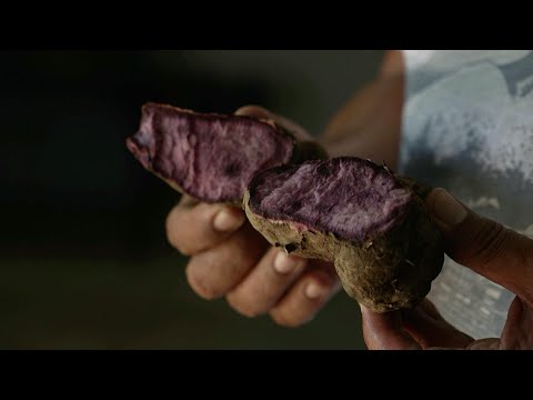 Purple reign: Philippines seeks to keep grip on ube throne | AFP