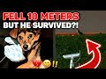 10-Meter Drop: The Rescue Took a Terrifying Turn! 😱#animals #rescue #pets #dog #puppy