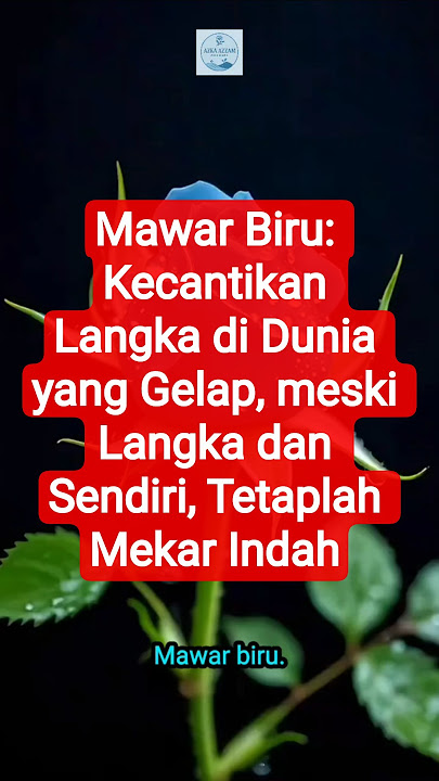 Mawar Biru: Kecantikan Langka di Dunia yang Gelap, meski Langka dan Sendiri, Tetaplah Mekar Indah.