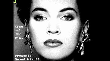 Amiga Sampled Audio Disks #4 - 1980s Pop Music