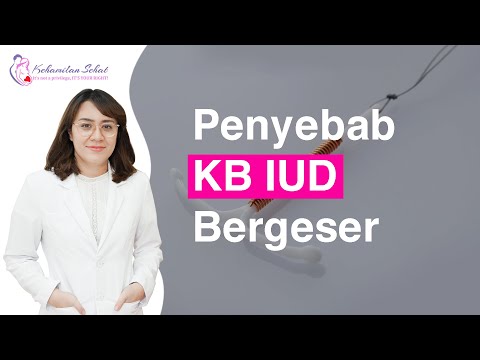 Video: Apakah kesalahan bergeser?