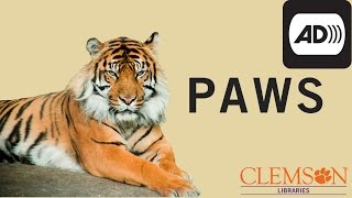 PAWS: Evaluating Sources - Audio Described