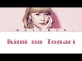 Dream Ami : 君のとなり / Kimi no Tonari Lyrics