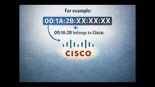Find Any Device Vendor Using a MAC Address🔍