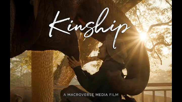 Kinship - Official Trailer