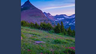 Subtle Cadence of Serenity
