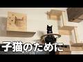 保護猫達のためにキャットウォールさらに追加したよ［森の中でひとりと犬猫暮らし］