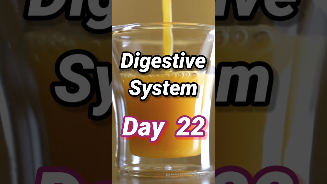 Day 22 Improve digestion system 