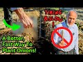 Watch this before planting onions world record gardeners complete onion planting tutorial