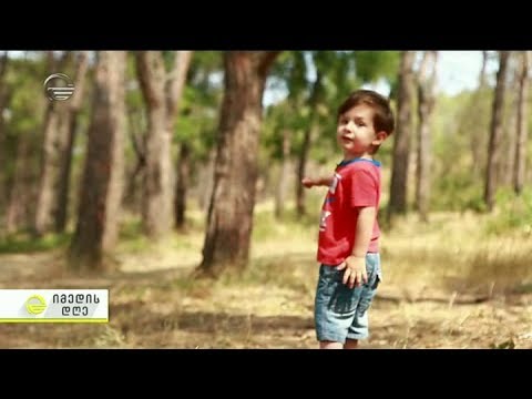 რატომ ხდება ბავშვი უფრო ჯიუტი სამი წლის შემდეგ - ფსიქოლოგის რეკომენდაციები \"იმედის დღეში\"