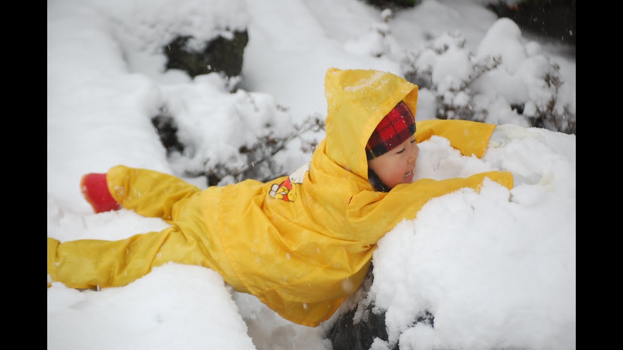 Hiroッチ Diary In 木の花ファミリー 14年 エコビレッジという枠から抜け出し 新たに 菩薩の里 としてリスタートを切った木の 花ファミリー ここ富士山麓にて そのメンバーの一員として暮らす 私hiroッチが 宇宙スケールの概念で営まれる 世にも面白き