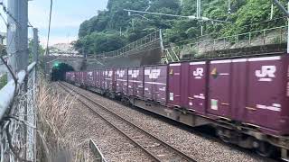 【🦈('-'🦈)サメチャン】79列車 EF66-124 貨物列車