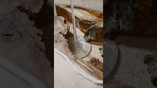 324. Epoxy fails when wood MoVeS #makethings #mtbitesize
