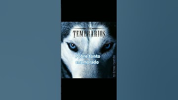 Thumbnail of Los temerarios pobre tonto enamorado 💘 #romanticasdelrecuerdo #temerarios