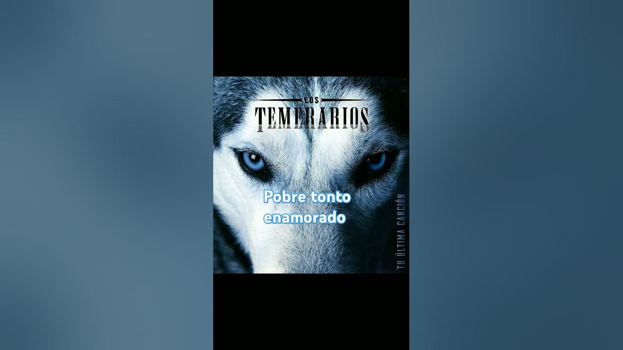 Los temerarios pobre tonto enamorado 💘 #romanticasdelrecuerdo #temerarios