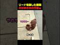 リードを離した瞬間、犬がまさかの行動ｗ #犬 #犬動画 #犬のいる暮らし #面白い犬 #散歩犬 #賢い犬