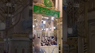 Emotional Dua at Masjid Nabawi Madina 🌹💚#dua #salam #shorts #sukoon #masjid #umrah #travel #islam