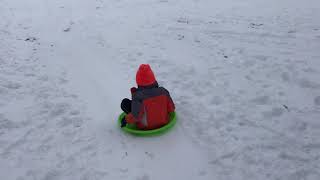 Owen Sledding in Lyon Park