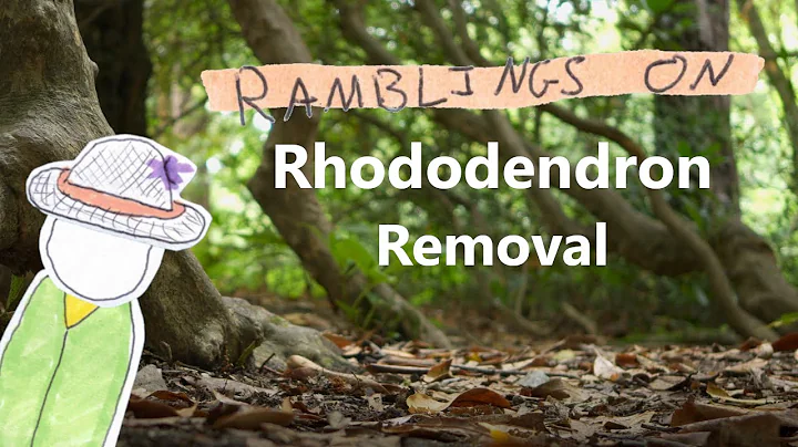 Combatting Rhododendron Invasion: Strategies for Effective Removal