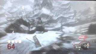 Call of The Dead Round 66 Coop