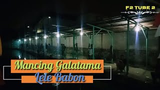 Mancing Galatama Bawal