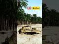Archer: The British Tank Destroyer That Fought Backwards