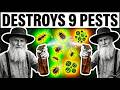 The $1 Amish Secret That Destroys 9 Pests & Mold (Safe & Cheap!)