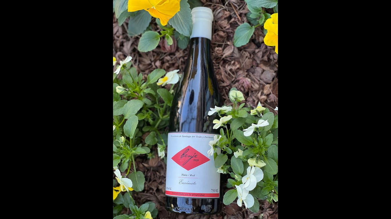 ENVÍNATE BENJE TINTO