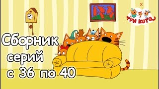 Три кота - Сборник с 36 - 40 серии Три кота - Сборник с 36 - 40 серии
