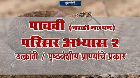 5th EVS 2 | Chapter#04 | Topic#04 | पृष्ठवंशीय प्राण्यांचे प्रकार | Marathi Medium