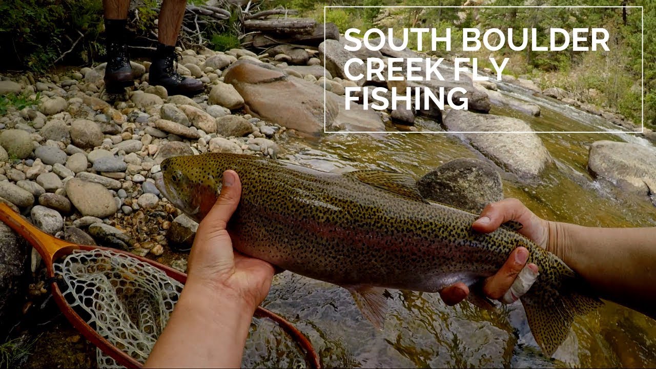 В погоне за Фэтти Макфаттерсоном — самая большая рыба года — Саут-Боулдер-Крик — нахлыстовая рыба...
