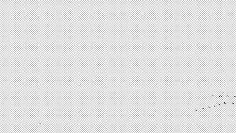 [PREVIEW] Video footage of real SOME BIRDS 06 flying with ALPHA CHANNEL in full HD and 4K resolution