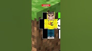 Can you pause at Right Time??!! 😱😨//Minecraft Noob vs Pro vs Hacker // #noobvspro #minecraft #shorts