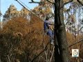 Incendios Forestales de Galicia