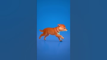 Dog run cycle animation