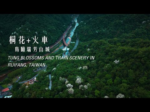 ???? 台灣秘境！空拍基隆河上游「三貂嶺」桐花雪！捕捉火車穿越山谷的絕美4K畫面｜電影感風格化調色｜The beauty of the Tung Blossom Railway in Taiwan｜