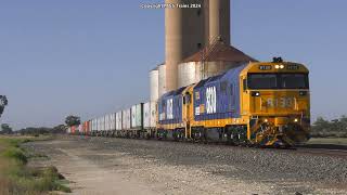 RARE SSR Grain Train, Fruit Flyer Freight and Aurizon Intermodal  Western Victoria Freight Trains