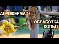 Станок для обработки копыт. Выставка АгроФерма-2017