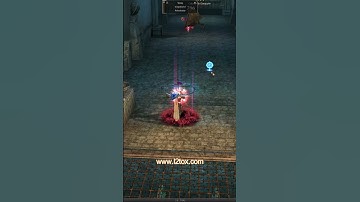 #lineage2 #shortvideo #lineage #youtubeshorts #graciafinal #gaming #games #l2tox #gracia final #2024