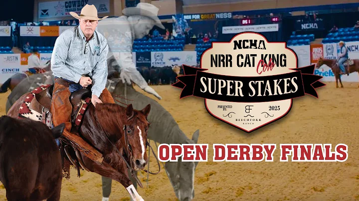 2025 NCHA NRR Cat King Cole Super Stakes Presented by Beech Fork Ranch Open Derby Finals