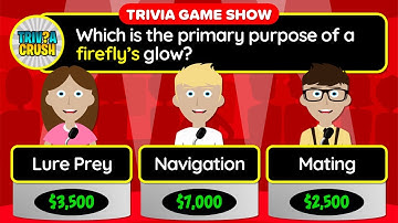 😃👉 GENERAL KNOWLEDGE QUIZ! - 40 Trivia Questions in a Unique Game Show Format | 24-023