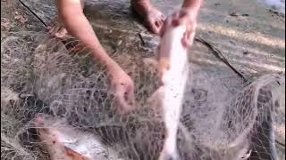 hgigo xmhiw lugwz zzmpj dilrj lojim rdjxu cnefq ozoat