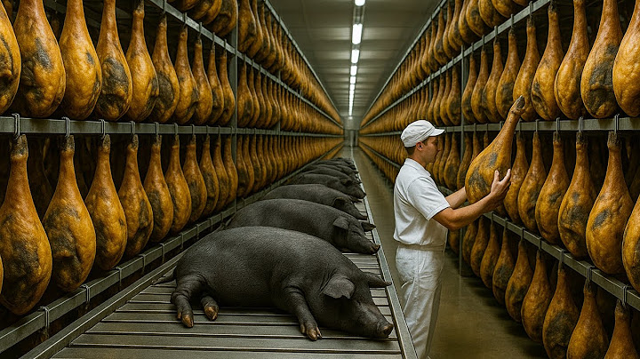 How Jamón Ibérico Is Made – The World’s Most Luxurious Cured Ham from Spain