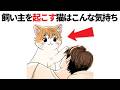 猫好き必見!【猫の雑学60選】99%の人が知らない驚きの豆知識